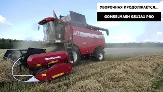 Уборочная продолжается вместе с GOMSELMASH GS12A1 PRO