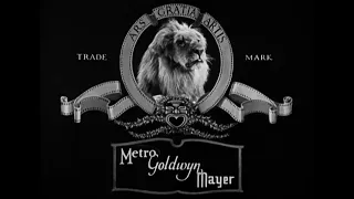 Metro Goldwyn Mayer (1928)