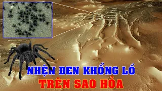 Giải mã bí ẩn đàn Nhện đen khổng lồ xuất hiện trên Sao Hỏa | Khoa học vũ trụ - Top thú vị |