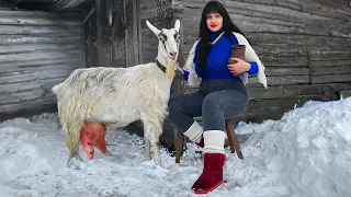 Beautiful Girl Makes Homemade Butter from Goat Milk! Life in a remote Ukrainian village