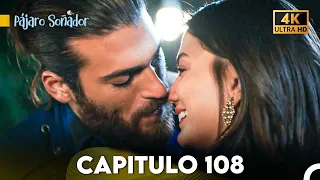 Pájaro Soñador Capítulo 108 (Doblado Español 4K)