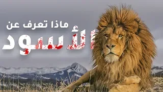 5 حقائق لا تعرفها عن الأسود