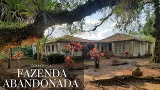 FAZENDA ABANDONADA COMO NUNCA VIMOS ANTES! *Veja o que eles faziam com os PRESENTES que ganhavam*