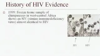 Origin of HIV