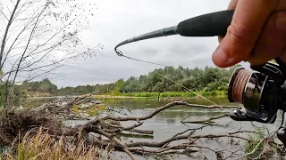 НАШЁЛ ПОВАЛЕНОЕ ДЕРЕВО, ЧТО НЕ ЗАБРОС, ТО УДАР! Рыбалка с берега на спиннинг в 2023