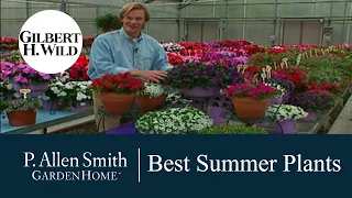 Best Summer and Fall Plant Varieties | Garden Home (312)