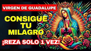 🌟Oración PODEROSA  a la Virgen de Guadalupe🌟 para Casos IMPOSIBLES | Consigue tu Milagro