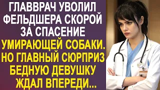 Главврач уволил фельдшера скорой за спасение уличной собаки. Но главный сюрприз ждал всех впереди...