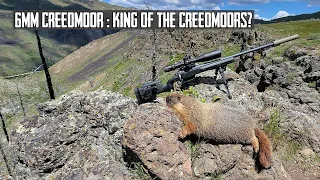 6mm Creedmoor - King of the Creedmoors?  Rockchuck Hunt and a BOMBER 600 Yard Shot!!