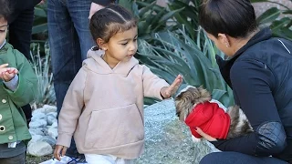 Nori Meets A Little Puppy