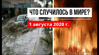 Катаклизмы за день 1 августа 2020 ! cataclysms of the day ! в мире ! событие дня ! Пульс Земли