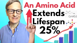 An Amino Acid Extends Lifespan By 25%