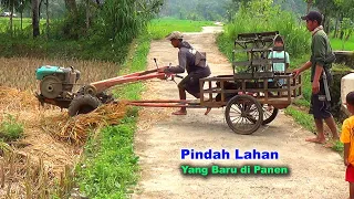 Rice Tractor Moving New Land for Harvest