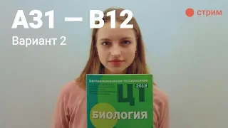 ЦТ по биологии А31-B10 (Вариант 2)