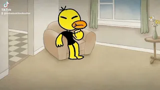 the duck eating bread