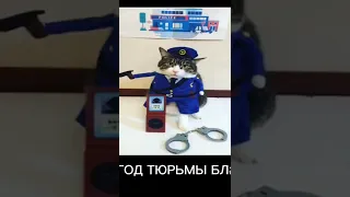 О Це ты попал Пiзда тiбе