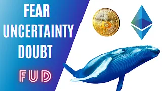 BITCOIN WHALE MANIPULATION & HOW TO NOT BE A VICTIM !!!