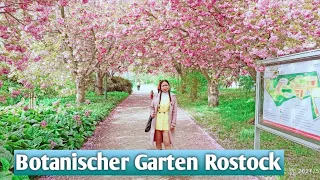 Botanischer Garten Rostock | Germany | Spring 2021