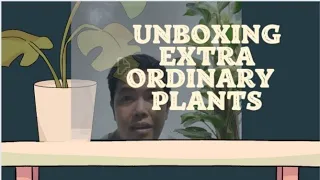 Unboxing My Latest Wishlist Plants!/ Collective Houseplant