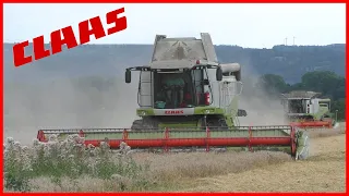 !!! Žně/Żniwa/Harvest/Žatva 2021 !!! | Ječmen/Barley | 3 kombajny v nasazení