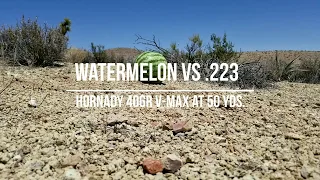 Watermelon vs .223 V- max 40gr