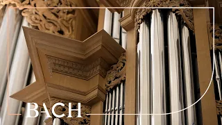 Bach - Wachet auf, ruft uns die Stimme BWV 645 - Zerer | Netherlands Bach Society