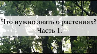 Что нужно знать о растениях? Часть 1. Устойчивость.