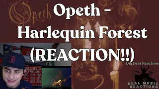 FIRST TIME HEARING!! Opeth - Harlequin Forest (LIVE) (REACTION!!)