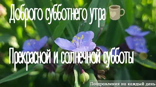 Доброе утро | Хорошей субботы отличных выходных