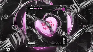 Tre Wolf 💔 BIG SAD (Official Visualizer)