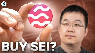 Time to Buy $SEI? What You NEED to Know!