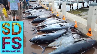Bluefin Tuna Report | Pacific Queen Big Fish Limits on Night Jigs & Kite | San Diego Fishing SDFS