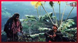 Os Sonhos - Akira Kurosawa - Cine Asia