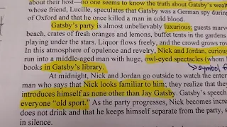 Great Gatsby Ch 3