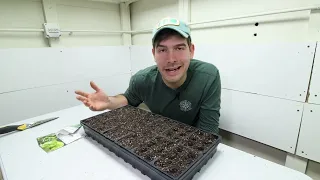 When + When NOT to Use a Heat Mat and Humidity Dome For Seed Starting