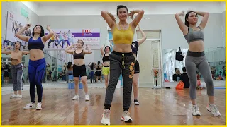 20 Mins Aerobic Workout Reduction Of Belly Fat Quickly | Zumba Class