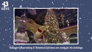 Bellagio Conservatory ready for the holidays