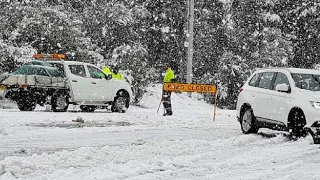Австралию накрыли жуткие снегопады. Мощные заморозки обрушились на страну