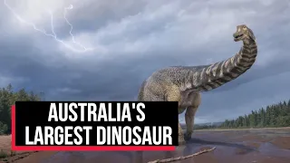 This Is “Cooper", Australia's Largest Dinosaur Identified As New Species | Cobrapost