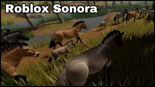 Roblox Sonora - Ancient horse and foal + What's next for Sonora: Wolf, Coyote, Bretzia & more