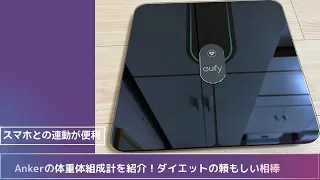 ダイエットに頼もしい相棒  Anker eufy smart Scale P2 Proをレビュー