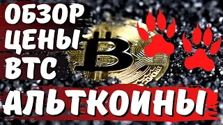 ПОЛНЫЙ ОБЗОР СИТУАЦИИ НА КРИПТОРЫНКЕ! ПРОГНОЗ ЦЕНЫ ПО БИТКОИНУ И ОБЗОР ТОПОВОЙ АЛЬТЫ!!!