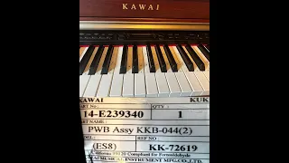 Fix Upgrade Kawai Electronic Piano CN35 CN37 CN39 or similar. Keys dont work or no longer play.