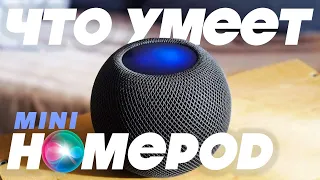 Что умеет HomePod Mini: ТОП 15 ФИШЕК [ОБЗОР]