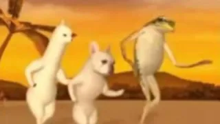 Xue huā piāo piāo yi jian mei - Meme  (Llama, dog, frog dancing)(Llama, perro, rana bailando).
