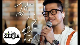 The Single 《砂之器》 小肥