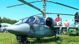 STUNNING !!! HUGE RC KAMOV KA-52 ALLIGATOR / SCALE MODEL TURBINE HELICOPTER / FLIGHT DEMONSTRATION