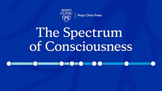 What are the different stages of consciousness?