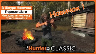 С чего начать в theHunter Classic | В Шкуре Новичка