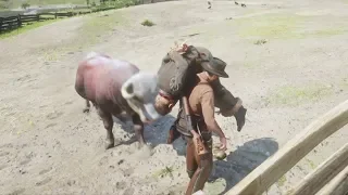 Red Dead Redemption 2 - Funny & Brutal Moments Vol. 10 (Euphoria Ragdolls)